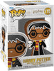 Gingerbread Harry Potter Pop Figure #175