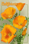 California Poppy Magnet