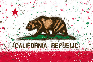 California Splatter Flag Magnet