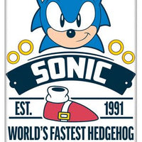 World's Fastest Hedgehog Magnet
