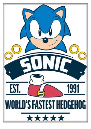 World's Fastest Hedgehog Magnet