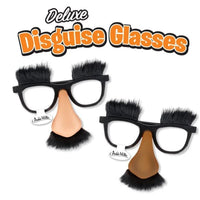 Classic Disguise Glasses